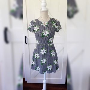 Picnic Plaid Dress - Lulu’s SZ SMALL skater dress